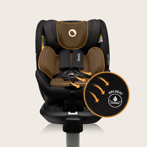 Lionelo Car Seat Antoon Rwf Carbon 0-18Kg product thumbnail 4