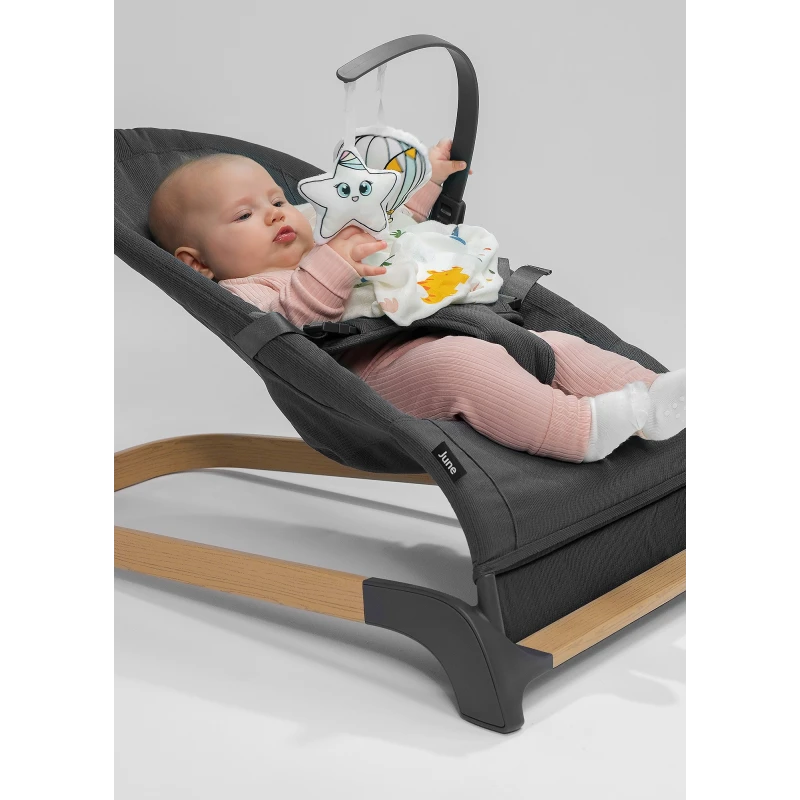 Lionelo June Baby Bouncer, Grey Stone product thumbnail 2