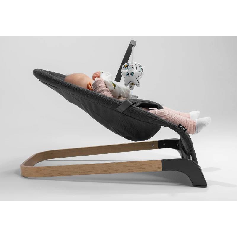 Lionelo June Baby Bouncer, Grey Stone product thumbnail 3